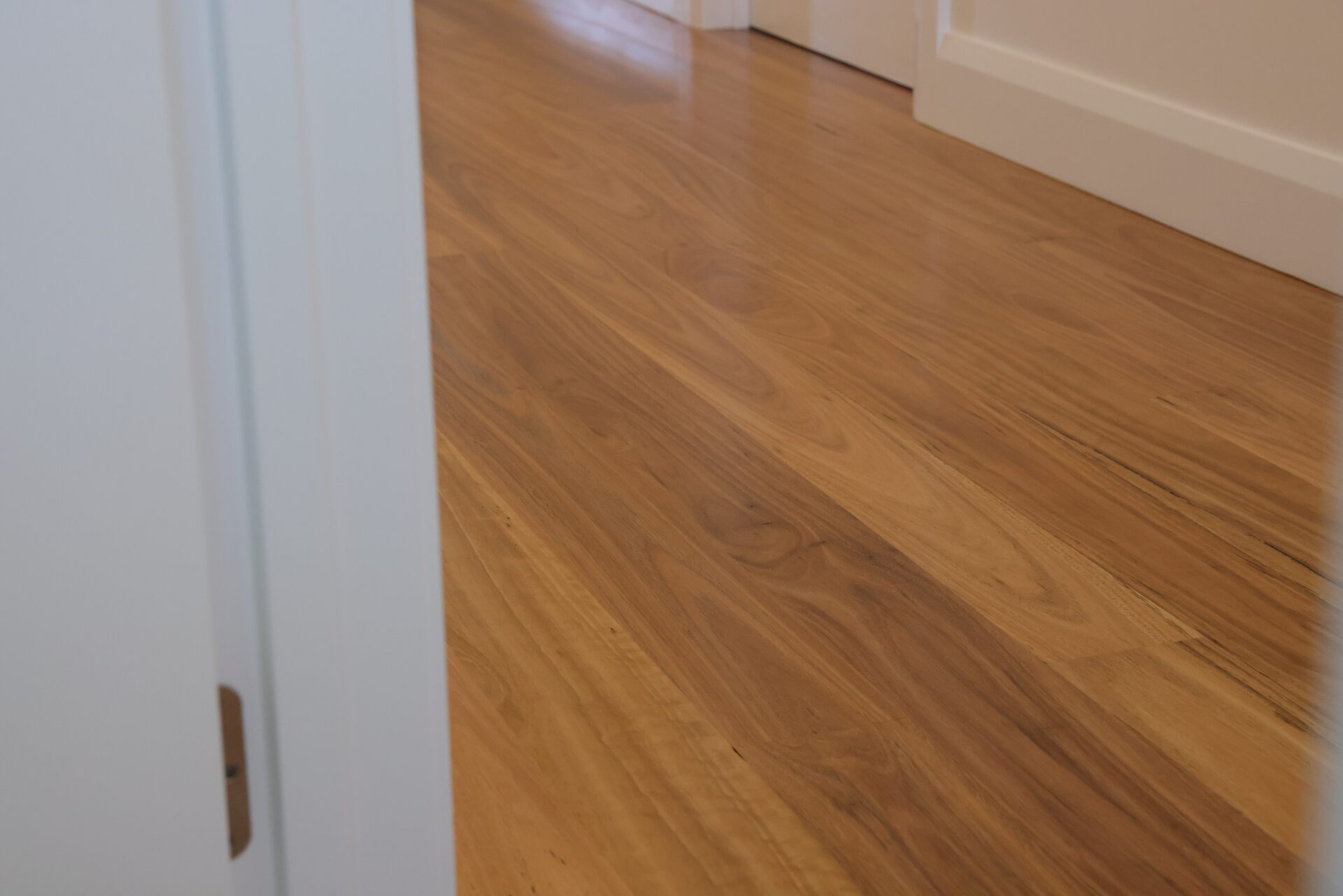 Hamilton Blackbutt renovation - Image 2